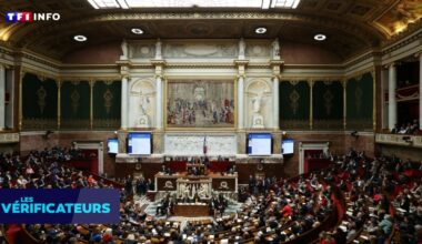 VÉRIF' - État de Palestine : en France, le Parlement avait-il déjà voté la reconnaissance il y a 11 ans ?