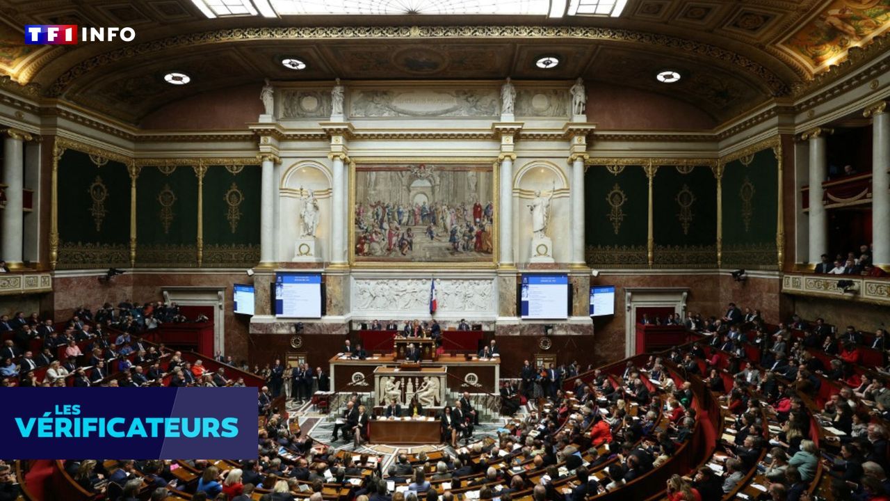 VÉRIF' - État de Palestine : en France, le Parlement avait-il déjà voté la reconnaissance il y a 11 ans ?