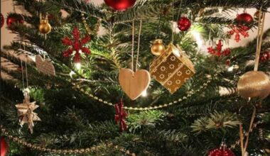 Ivre, il avait disjoncté lors du repas de Noël près de Nantes