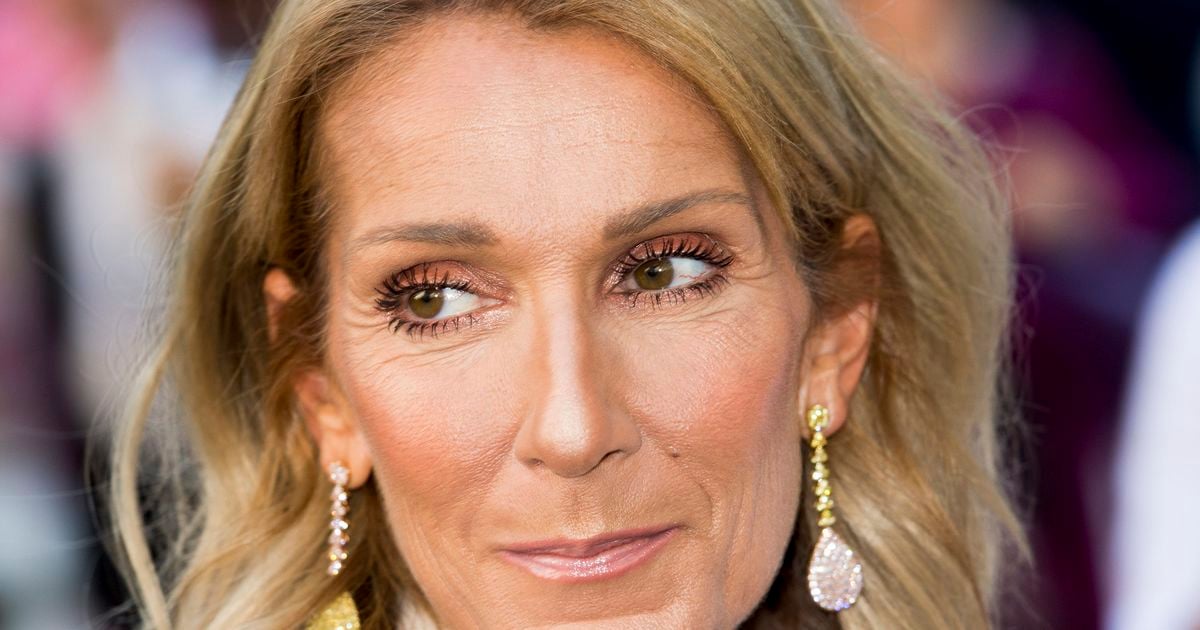 "Vous pouvez trouver ça fou" : Céline Dion propriétaire d'un lieu atypique dans lequel elle ne vit pas, contrairement à ses 10 000 protégées