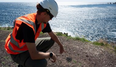 Contaminées par l'industrie pendant deux siècles, des Calanques de Marseille bientôt dépolluées