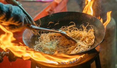 Un incroyable festival dédié à la cuisine chinoise va régaler Lyon pendant une semaine