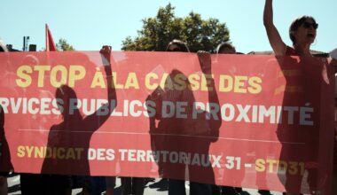 À Toulouse, des manifestants d'horizon divers qui font nombre