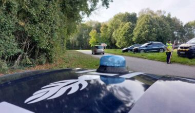 une vache en divagation sur la quatre-voies, pompiers et gendarmes sur place