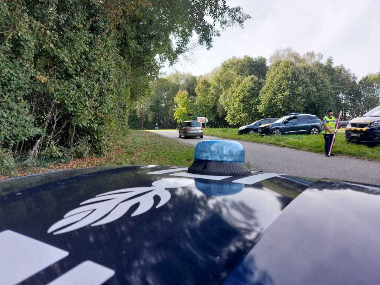 une vache en divagation sur la quatre-voies, pompiers et gendarmes sur place