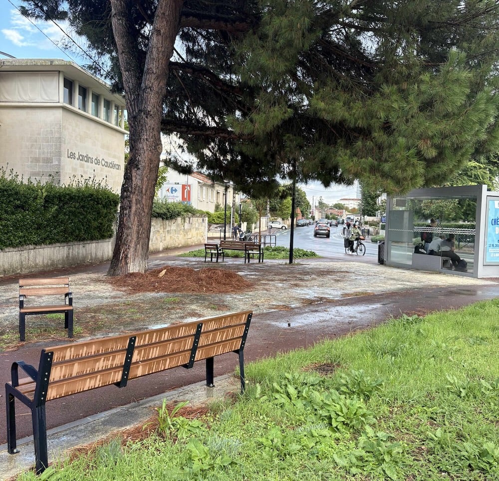 bordeaux-rue-pasteur