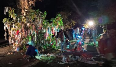Succès retentissant pour la Nuit verte qui a réuni plus de 6 000 visiteurs au parc de l’Ermitage