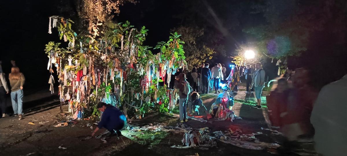 Succès retentissant pour la Nuit verte qui a réuni plus de 6 000 visiteurs au parc de l’Ermitage