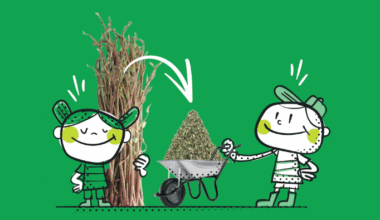 Broyez vos déchets verts à Roubaix et repartez avec du paillis !