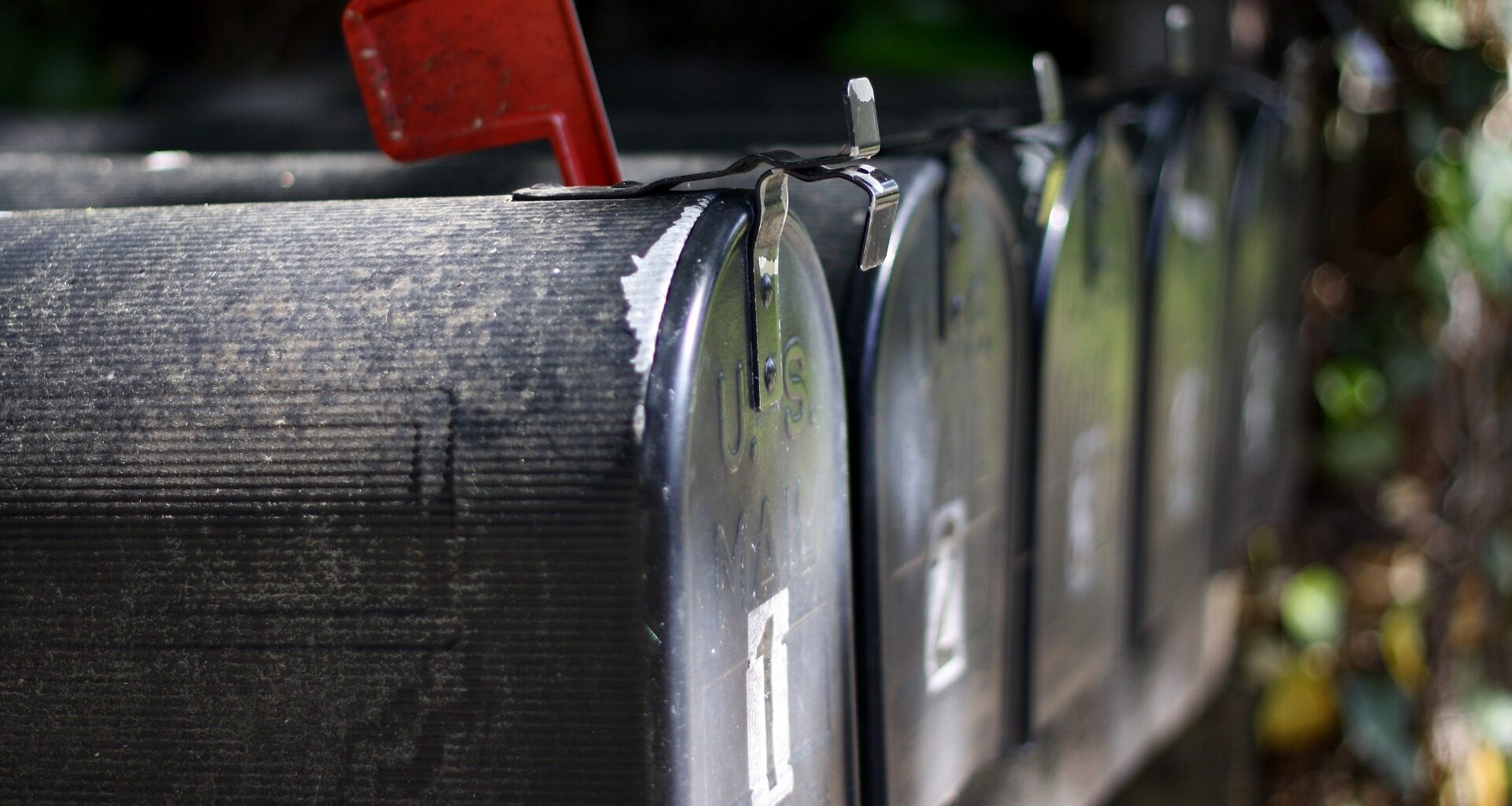 Bulletin Infovac