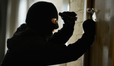 ils cambriolent une maison alors que la propriétaire est dans son jardin, sa voisine alerte la police