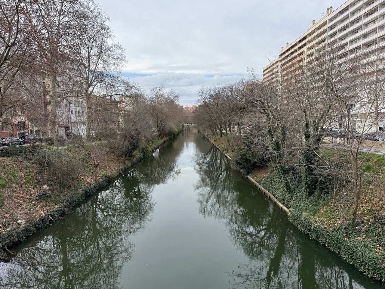 Toulouse. Pour tenter de fuir la police, il se cache derrière un buisson puis saute dans le canal du Midi