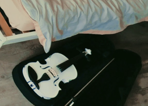 violon