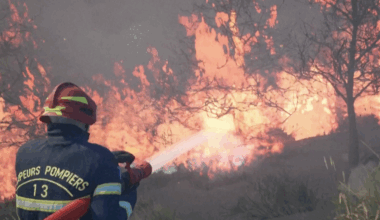 Feux de forêt. Made in Marseille, ce jeu vidéo choc vous met dans la peau d'un pompier