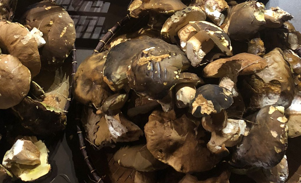 voici les endroits où faire une récolte fructueuse en Haute-Garonne