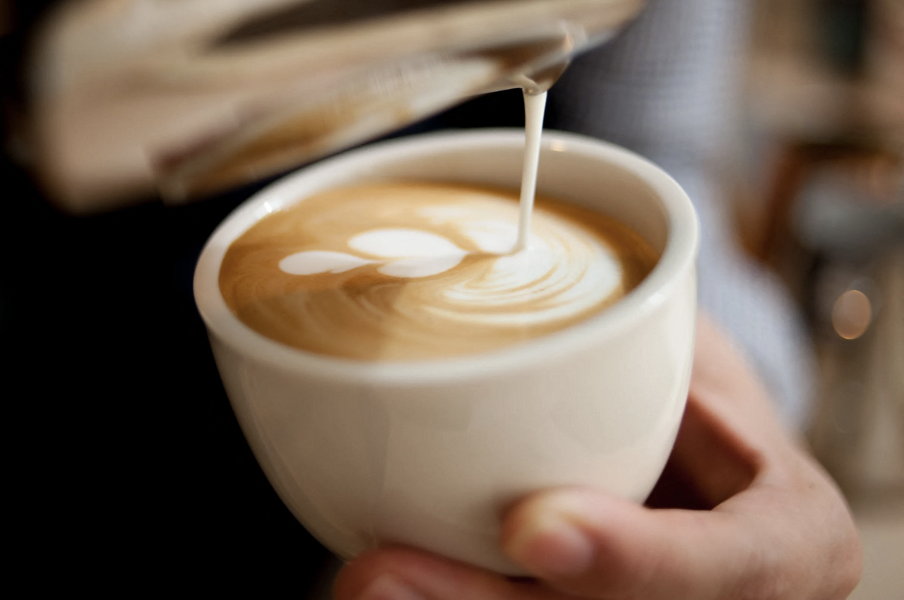 Le meilleur coffee shop de France est à Montpellier : le connaissez-vous ?