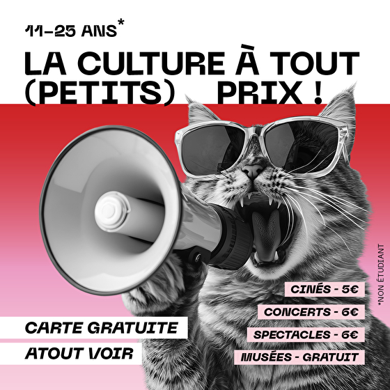 Carte Atout Voir