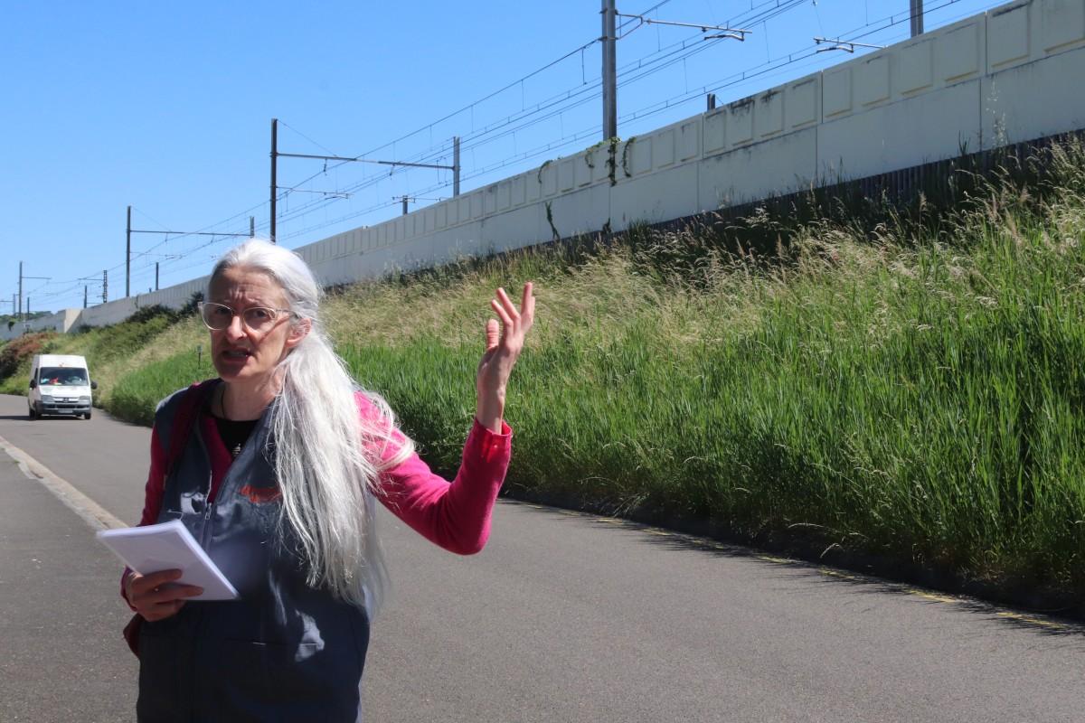 Près de Bordeaux, une nouvelle balade de l’Alternative urbaine autour des femmes