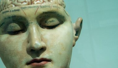 Ce chercheur pense avoir trouvé la racine de la conscience dans notre cerveau