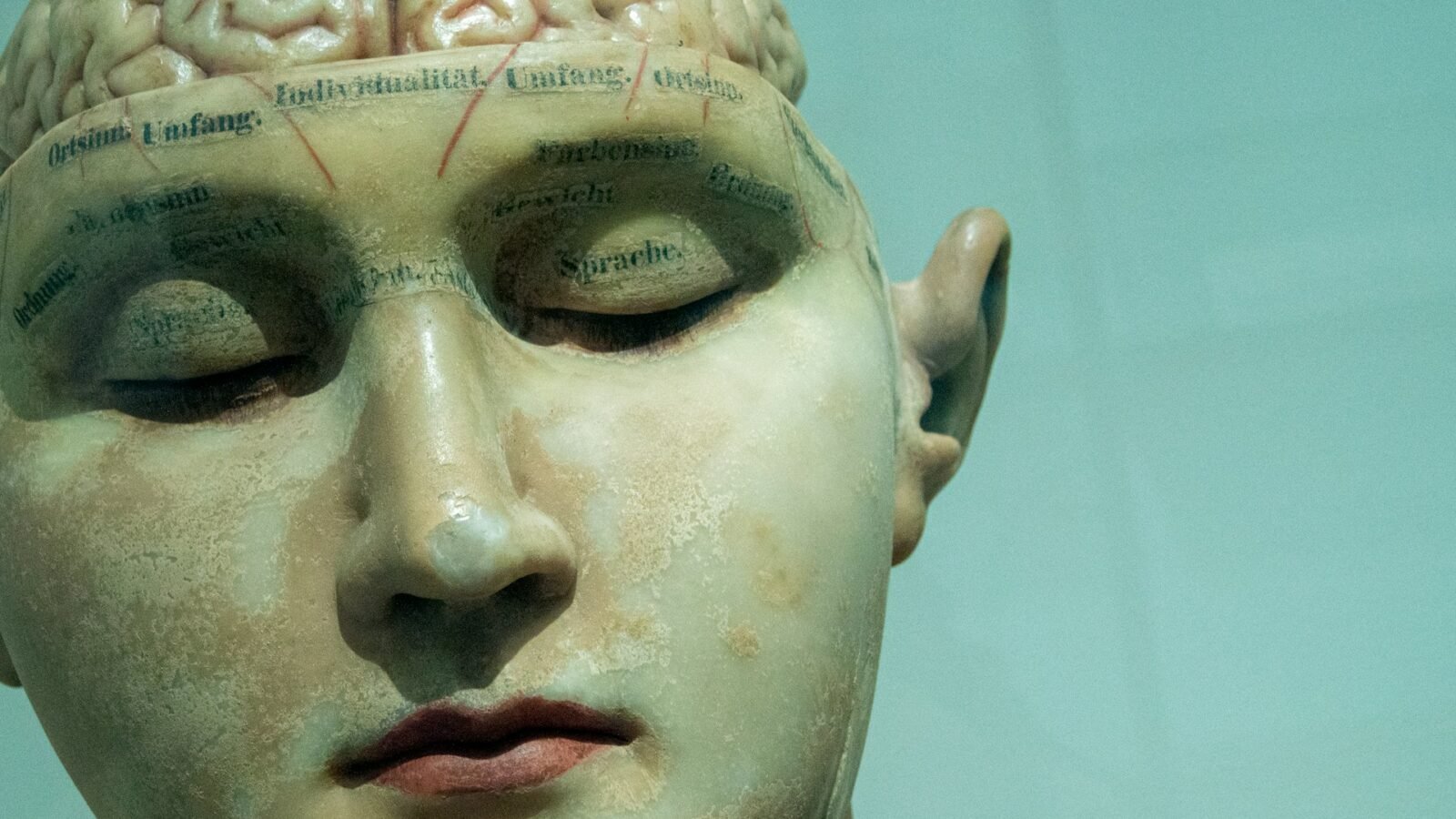 Ce chercheur pense avoir trouvé la racine de la conscience dans notre cerveau
