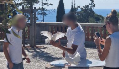 À Nice, ils utilisaient des pigeons pour arnaquer les touristes : leur petit manège stoppé