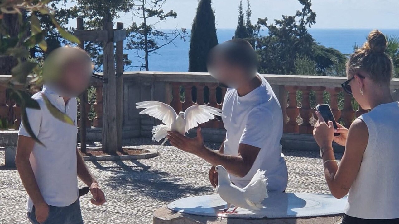 À Nice, ils utilisaient des pigeons pour arnaquer les touristes : leur petit manège stoppé