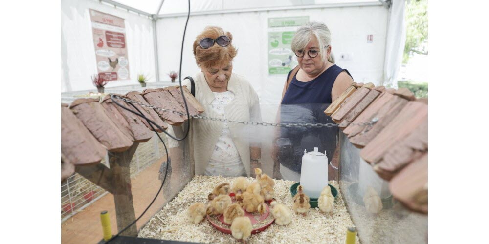 Comme toujours, la foire permet de rencontrer le monde agricole [Village agriculture]. Photo Thomas Toussaint