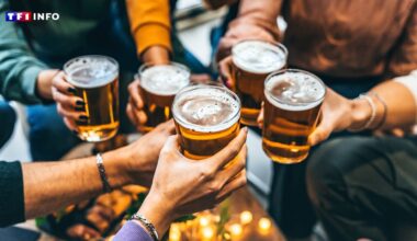 "Un des niveaux les plus faibles d'Europe" : du tabac à l'alcool, les jeunes français lèvent le pied