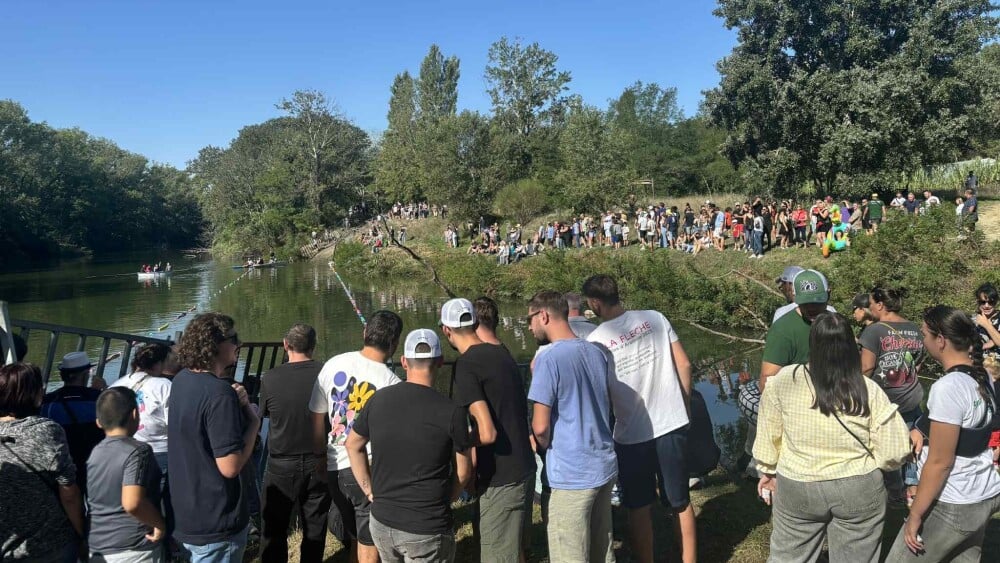 Bousculé par un taureau, un homme meurt écrasé par la voiture des organisateurs lors d'une abrivado à Aramon