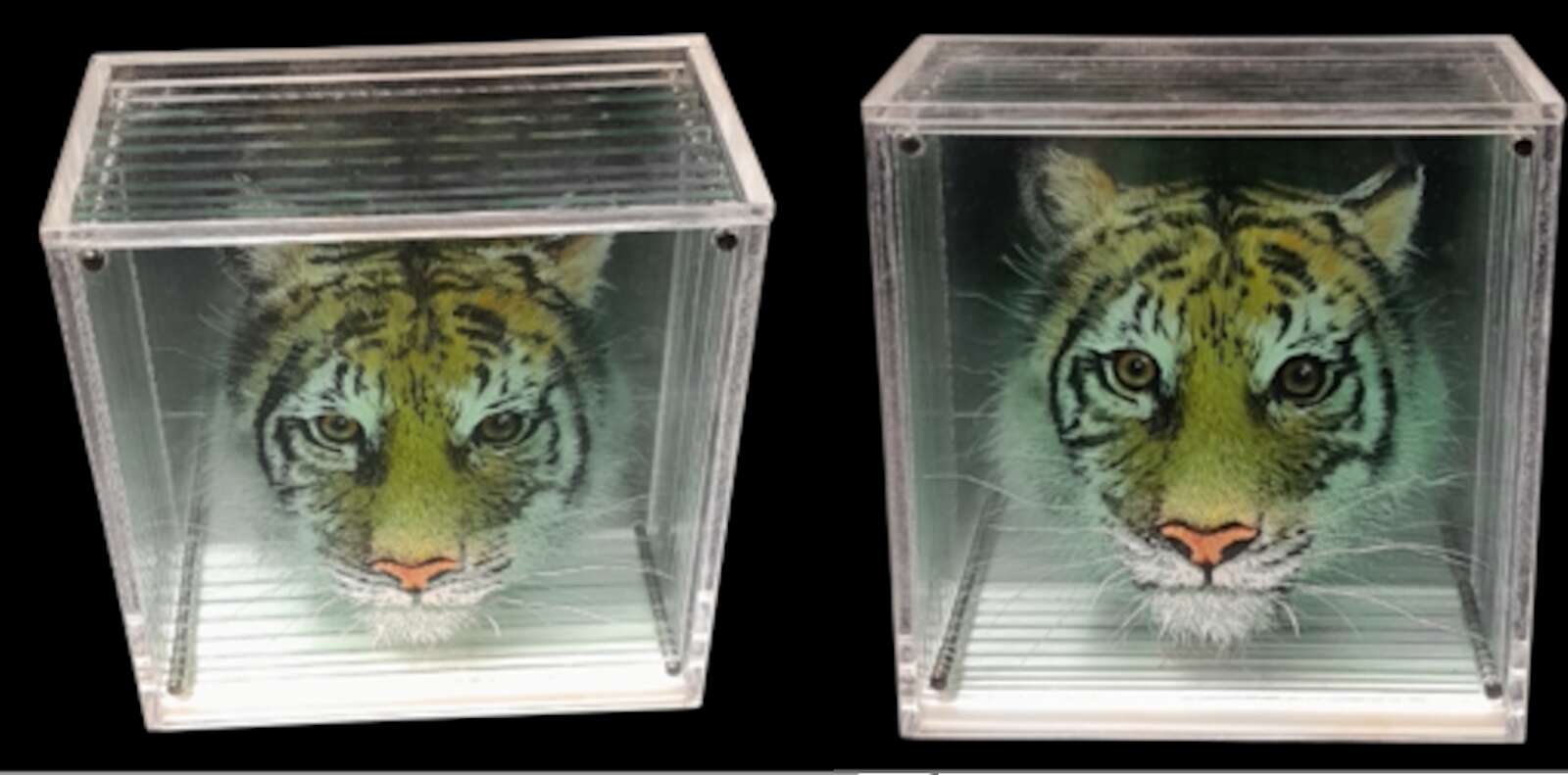 Ils ont transformé une peinture en hologramme 3D… et le résultat est bluffant