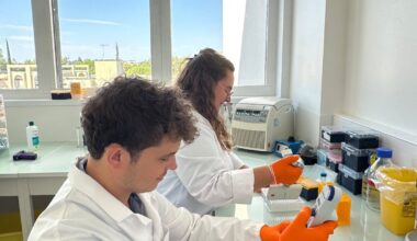un nouveau test développé pour prédire l’efficacité des traitements contre le cancer