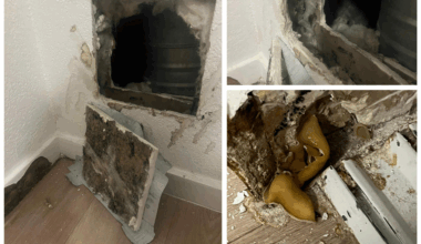 à Bordeaux, ces locataires vivent un cauchemar dans leur résidence neuve