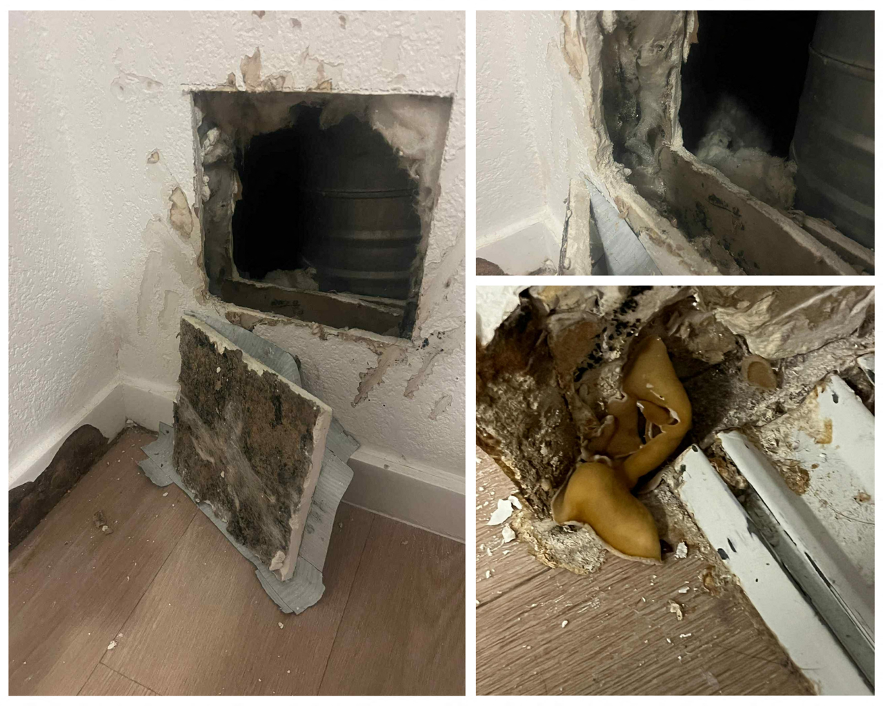 à Bordeaux, ces locataires vivent un cauchemar dans leur résidence neuve