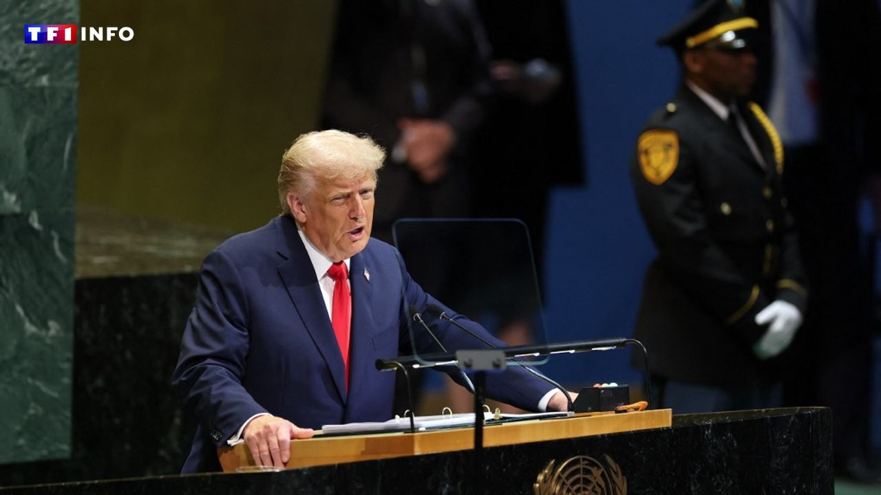 "Le bâton après la carotte" : Donald Trump fait-il volte-face sur la guerre en Ukraine ?