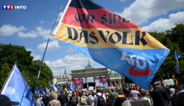 Comment le décès de plusieurs candidats de l'AfD alimente les théories du complot en Allemagne