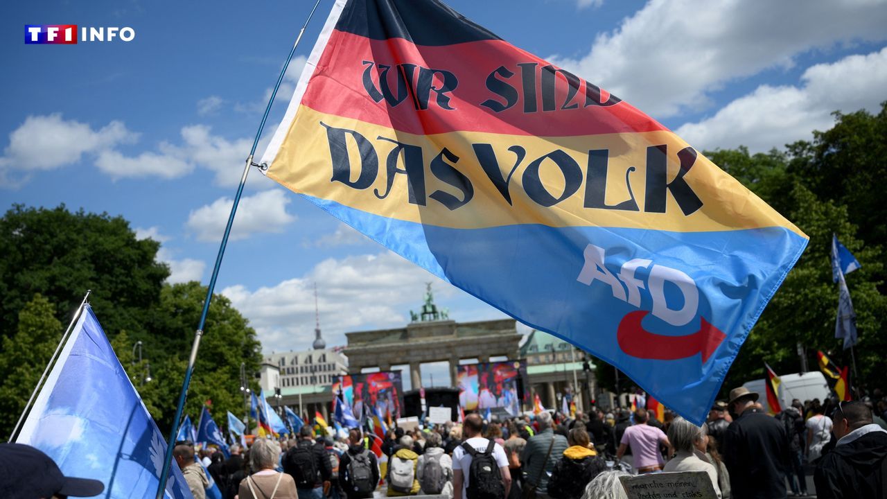 Comment le décès de plusieurs candidats de l'AfD alimente les théories du complot en Allemagne
