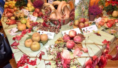 La Fête de la pomme revient près de Strasbourg ce dimanche, de nombreuses activités prévues