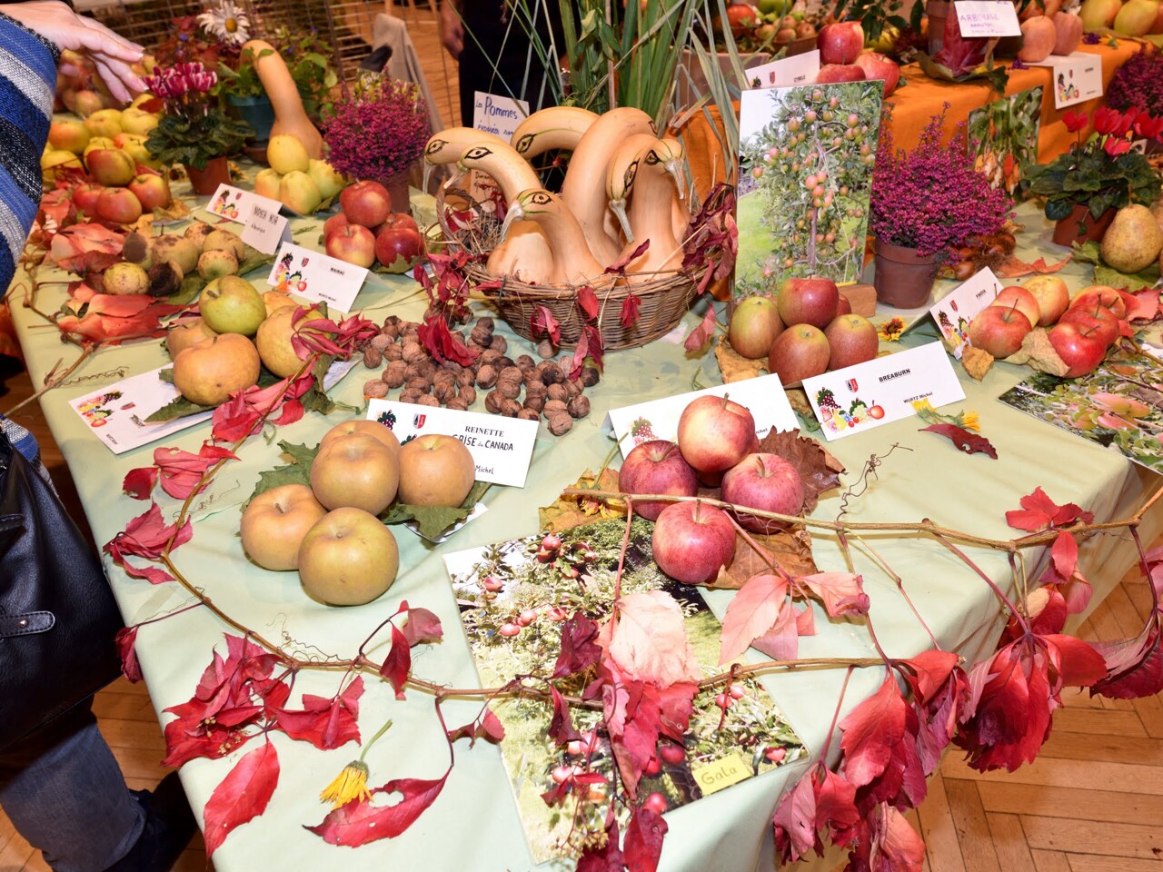 La Fête de la pomme revient près de Strasbourg ce dimanche, de nombreuses activités prévues