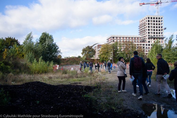 quartiers libres