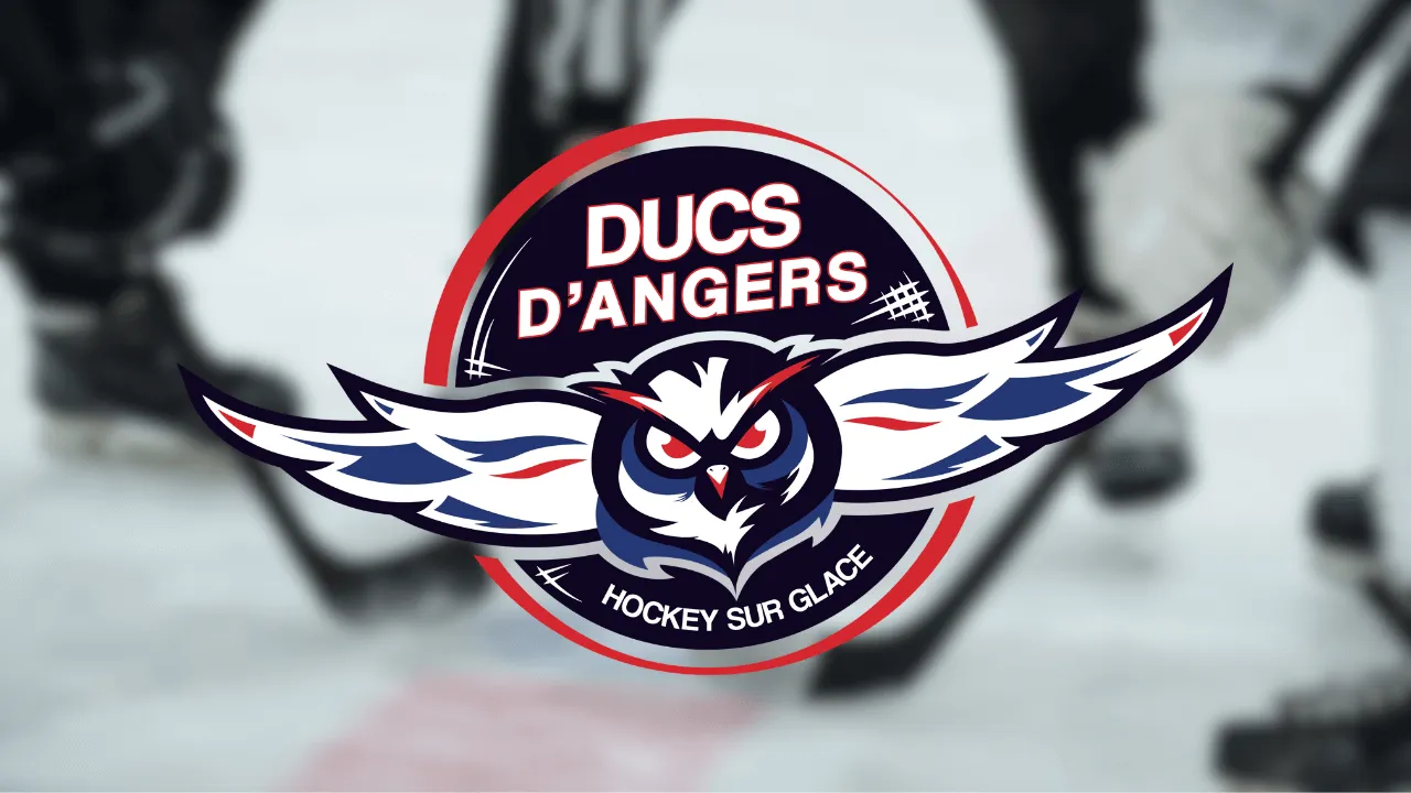 Gagnez vos places pour le match entre les Ducs d'Angers et les Brûleurs de Loups de Grenoble !