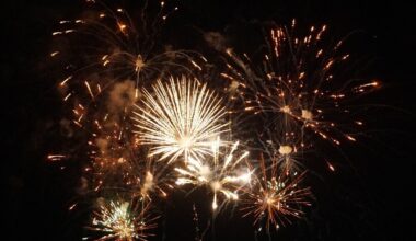 la Fête de la patate revient pour 3 jours d'animations près de Strasbourg