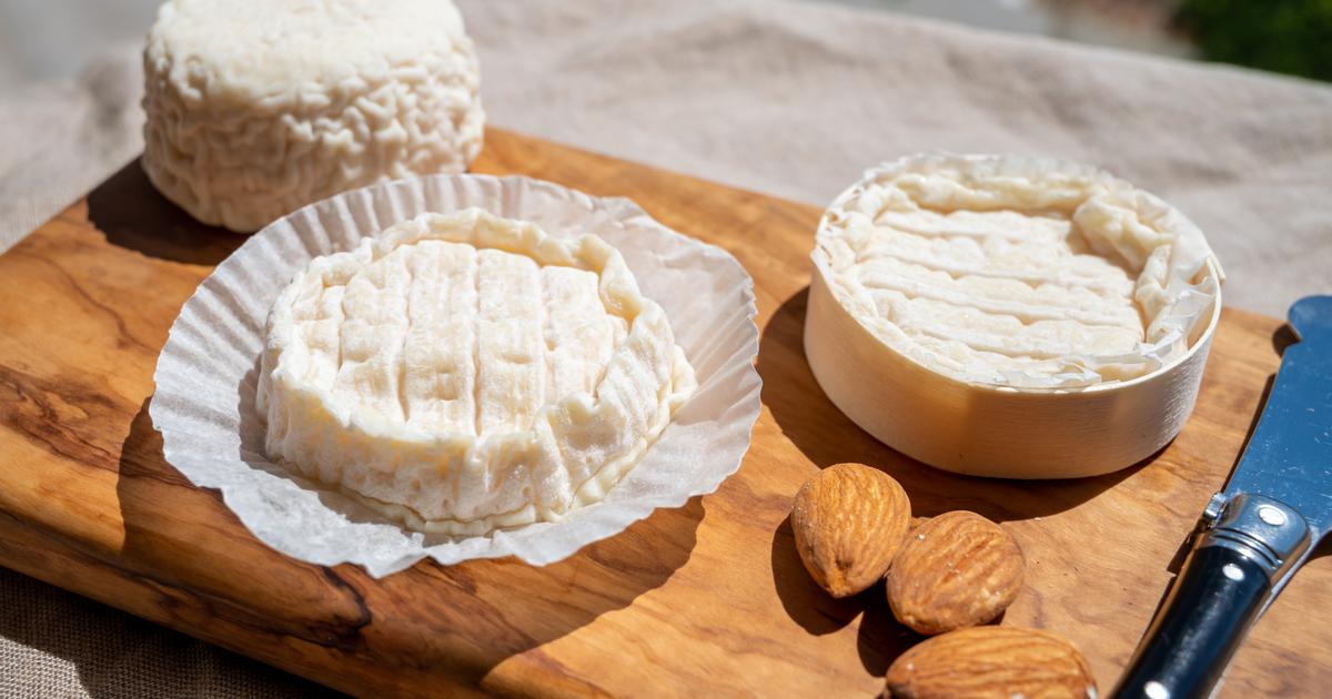 des fromages de chèvre vendus partout en France rappelés