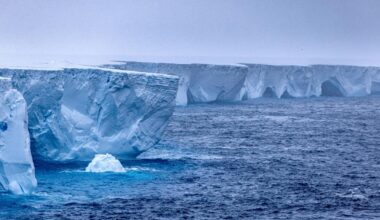 L’un des plus grands icebergs, vieux de 39 ans, fond à vue d’œil au large de l'Antarctique