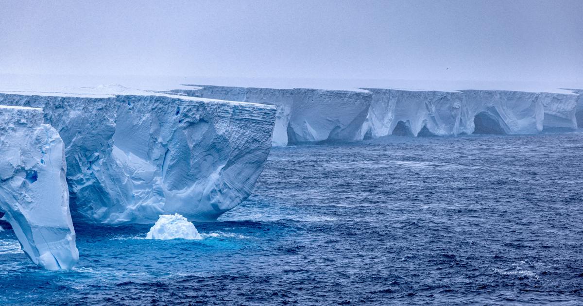 L’un des plus grands icebergs, vieux de 39 ans, fond à vue d’œil au large de l'Antarctique
