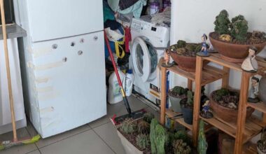 Près de Nice, 28 chats découverts dans le congélateur d’une villa