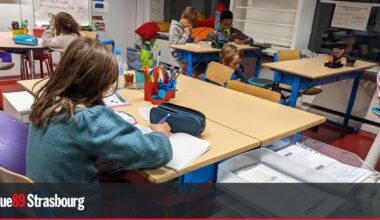 Strasbourg. Une école fermée suite à des élèves handicapés laissés sans aide