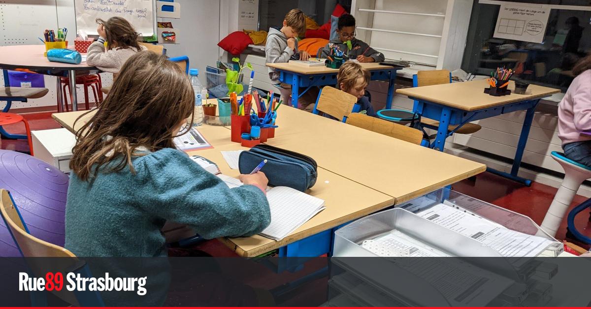 Strasbourg. Une école fermée suite à des élèves handicapés laissés sans aide