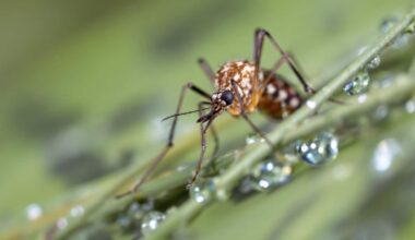 Ejf9xk6vrm 1758295431