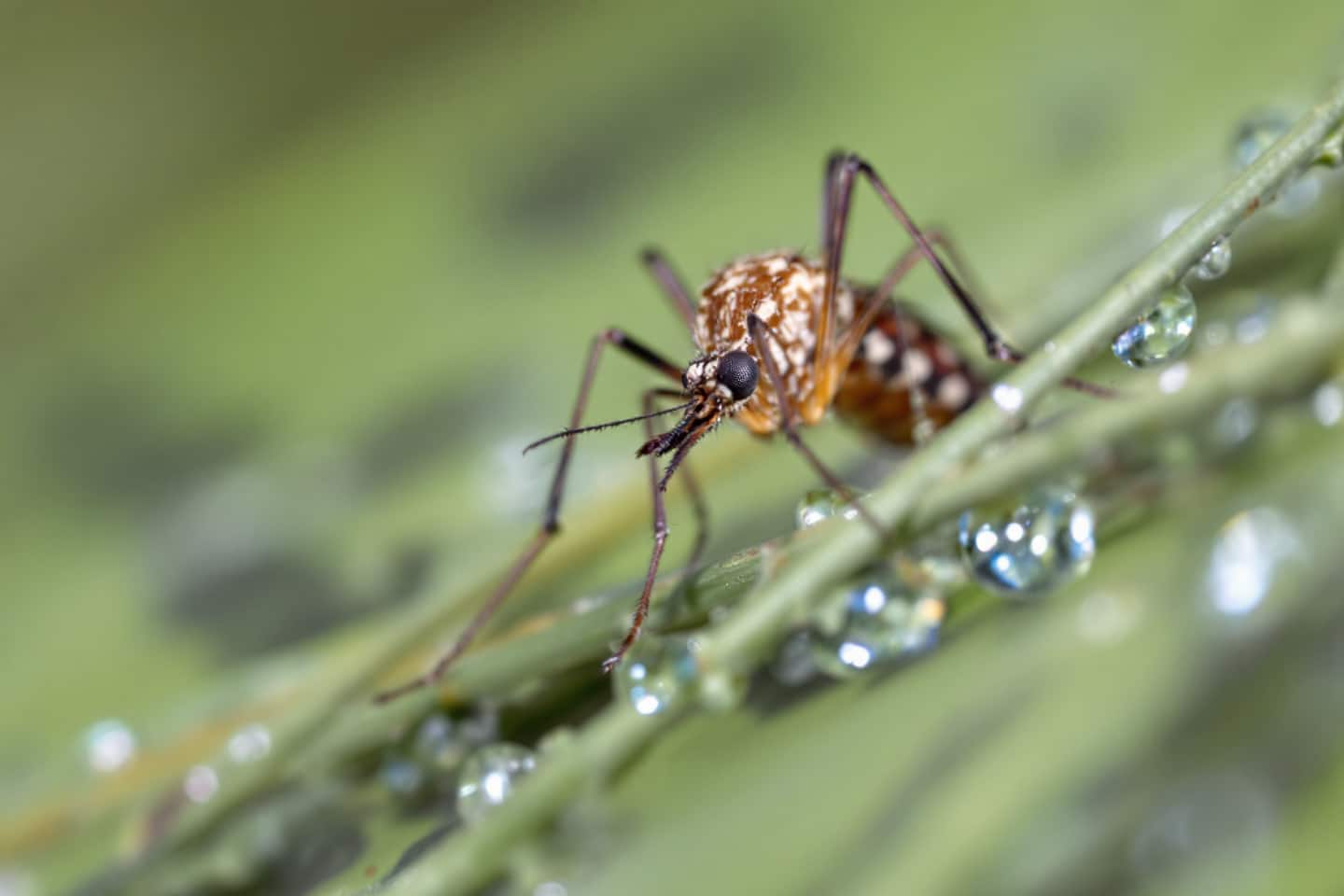 Ejf9xk6vrm 1758295431