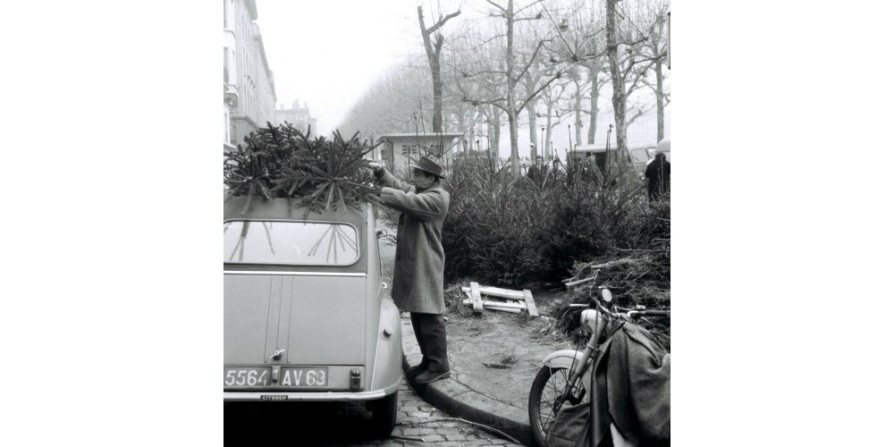 En cette veille de Noël, les retardataires peuvent encore acheter un sapin sur le quai Saint-Antoine à Lyon. Archives Le Progrès